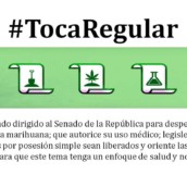 Exigencia para despenalizar el consumo de la marihuana Exigencia para despenalizar el consumo de la marihuana